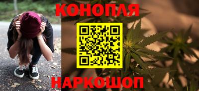 дмт Донской