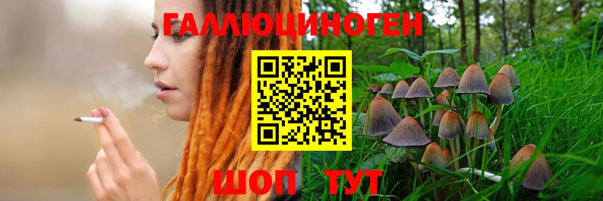 Галлюциногенные грибы мицелий Новочебоксарск